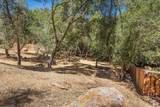794 Los Olivos Road - Photo 55