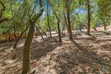 796 Los Olivos Road - Photo 3