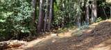 18355 Neeley Road - Photo 1