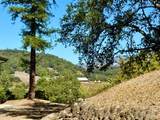 1676 Chiquita Road - Photo 38