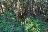 1101 River Beach Road - Photo 30