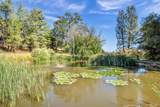 500 Old Long Valley Road - Photo 45