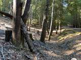27208 Bear Circle - Photo 4