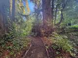 2660 Cazadero Highway - Photo 29