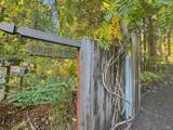2660 Cazadero Highway - Photo 34