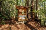 40401 Little River Airport Road - Photo 36