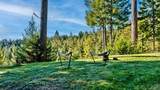 40401 Little River Airport Road - Photo 42