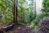 40401 Little River Airport Road - Photo 43