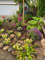 4604 Parktrail Court - Photo 9