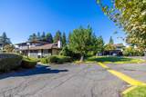 3429 Willis Drive - Photo 38