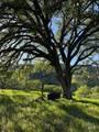 6958 Oak Tree Trail - Photo 10