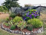 43700 Mountain View Road - Photo 55