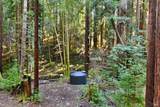 16125 Bittner Road - Photo 21