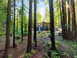 16125 Bittner Road - Photo 26