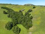 300 Road To Ranches - Photo 72