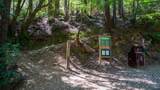10 Fire Road - Photo 2
