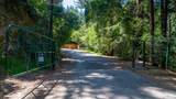 10 Fire Road - Photo 7
