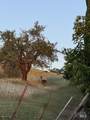 6993 Steiger Hill Road - Photo 47