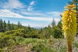 24680 Ten Mile Road - Photo 15