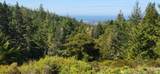 24680 Ten Mile Road - Photo 2