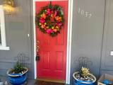 1037 Maple Drive - Photo 3