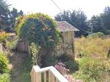 43751 Crispin Road - Photo 28