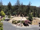 3829 Moss Hollow Court - Photo 12