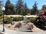 3829 Moss Hollow Court - Photo 4