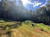 0 Little Dan Creek Road - Photo 3