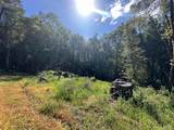 0 Little Dan Creek Road - Photo 6