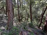0 Little Dan Creek Road - Photo 7