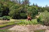 10200 Ca-12 Highway - Photo 9