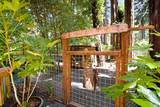 15607 Old Cazadero Road - Photo 19