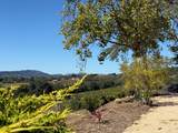 1676 Chiquita Road - Photo 13