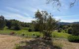 1676 Chiquita Road - Photo 2
