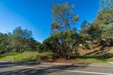 1155 Steele Canyon Road - Photo 5