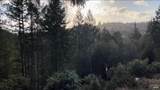 36000 Nash Mill Road - Photo 1