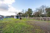 1840 Riebli Road - Photo 62