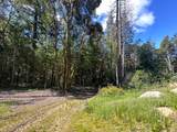 0 Little Dan Creek Road - Photo 2