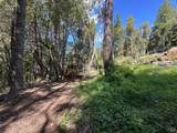 0 Little Dan Creek Road - Photo 5