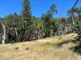 20925 Mid Mountain (17N17 Usfs) Road - Photo 6