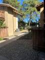 524 Arcadia Drive - Photo 4