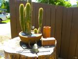 16352 5th Street - Photo 17