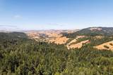 1401 Nicasio Valley Road - Photo 1