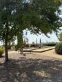 91 Newport Drive - Photo 12