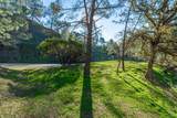 1155 Steele Canyon Road - Photo 3