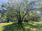 52401 Iron Creek Road - Photo 38