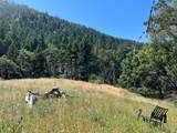 20925 Mid Mountain (17N17 Usfs) Road - Photo 2