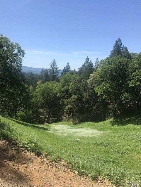 16401-B Mid Mountain Road - Photo 1