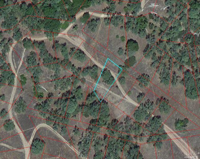 3579 Rowan Trail - Photo 1